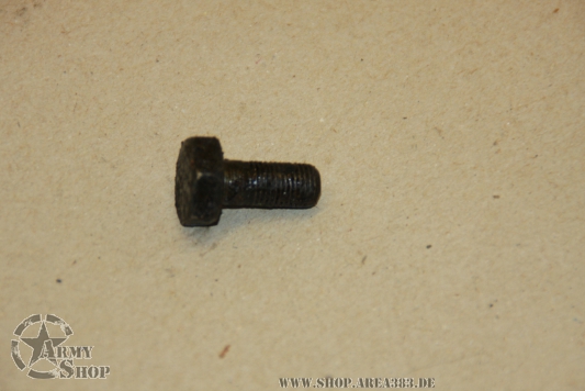Schraube Tellerrad zum Differential