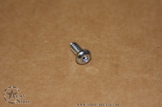 Torx Blechschraube 4,2 x 13 mm