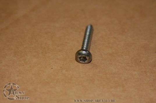 Torx Schraube 4x25 mm