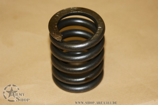 Lagerfeder für King-Pin  Dana 60