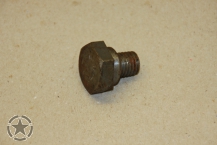 Befestigungsschraube am Scheibenrahmen Dodge WC links
