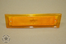 Blinker im Kotflügel links