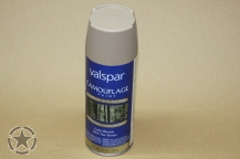 US Spray (Sand) 12 OZ 340 g