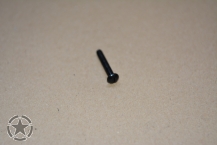 Befestigunsschraube Rücklichtdeckel  (Schwarz)