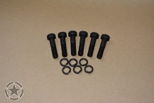 Schrauben (Set) Steckachse(Flansch) vorne F STAMP