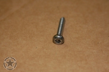 Torx Schraube 4x25 mm